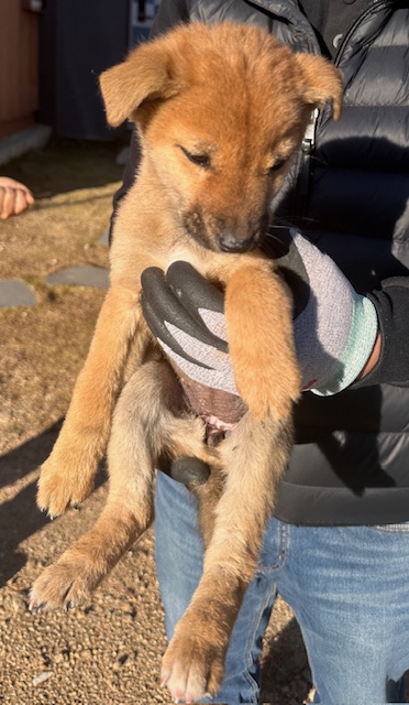 종료(자연사) 믹스…