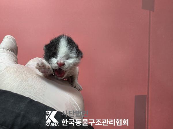 종료(자연사) 한국…