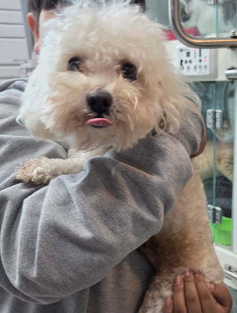 종료(반환) 기타의…