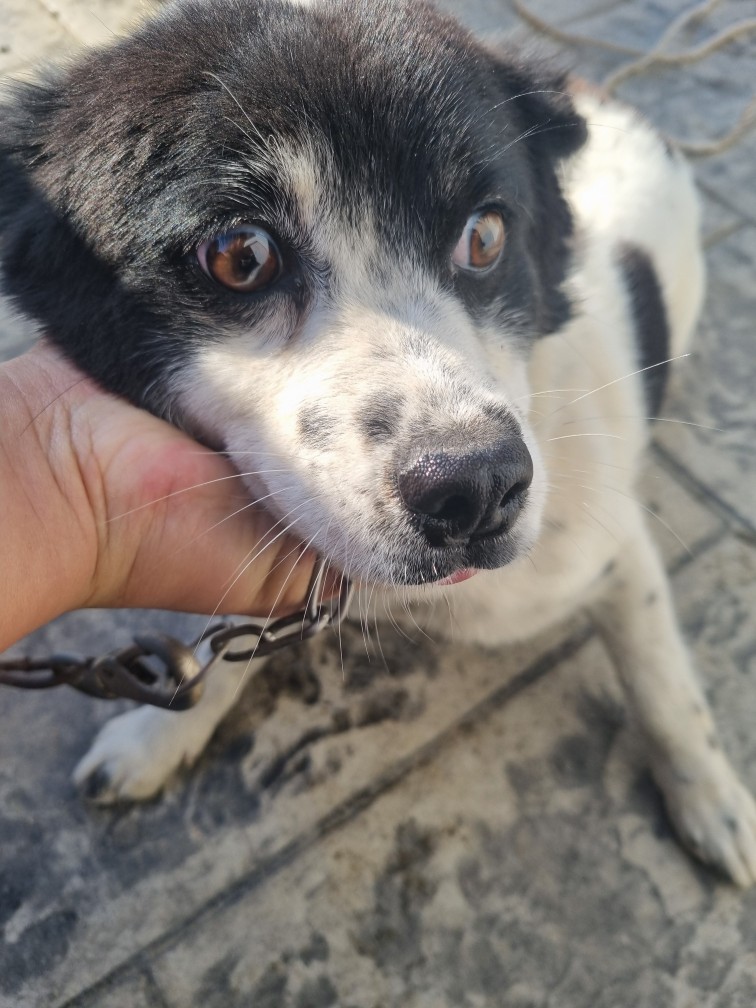 군위종합동물병원_427514202500274