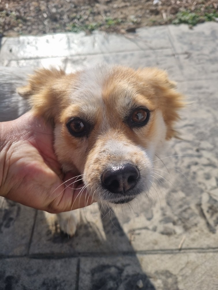 군위종합동물병원_427514202500275