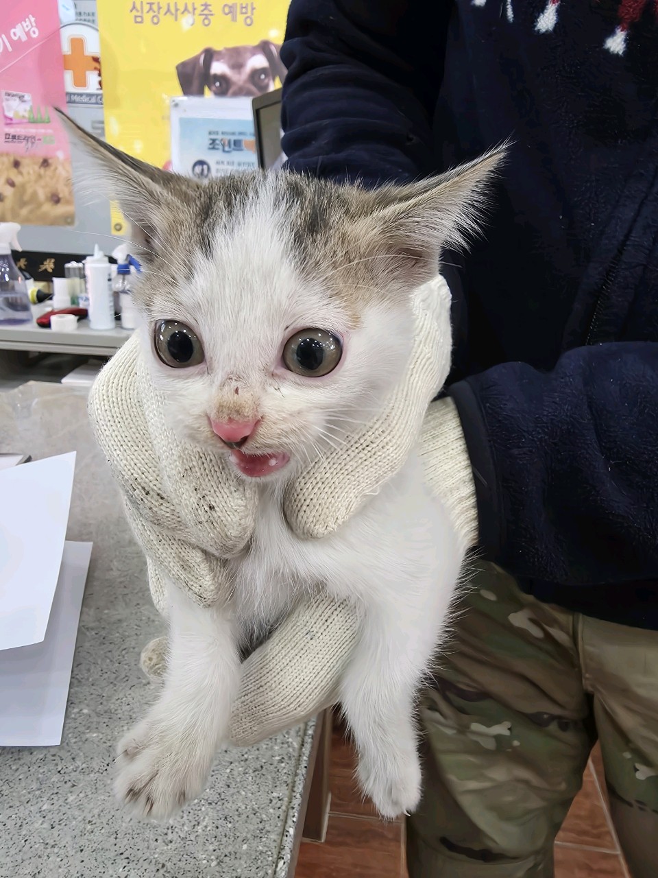 종료(자연사) 한국…