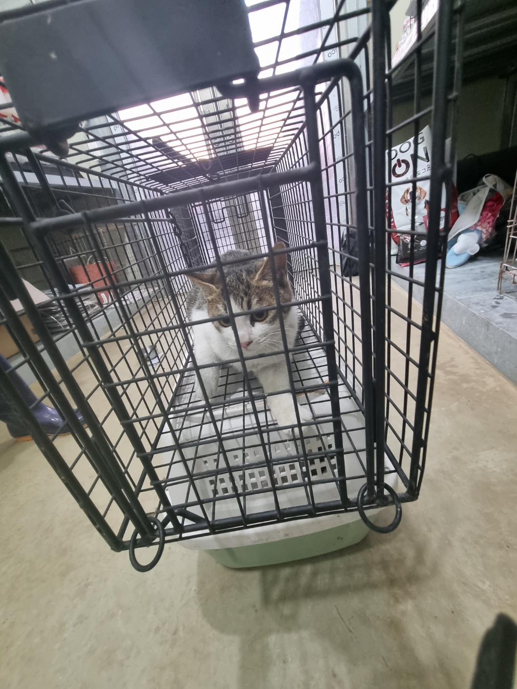 부안군 동물보호센터_445479202501210