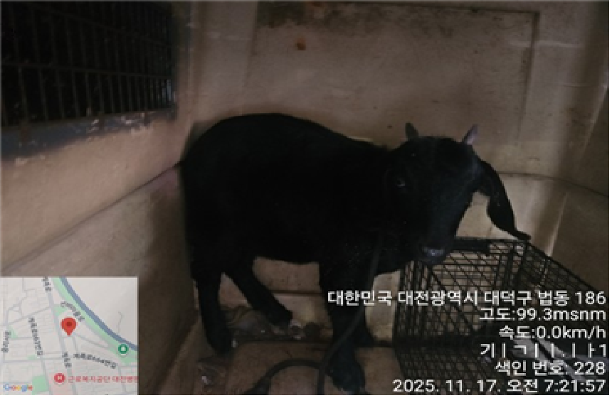 종료(반환) 기타축…