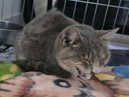 종료(자연사) 한국…