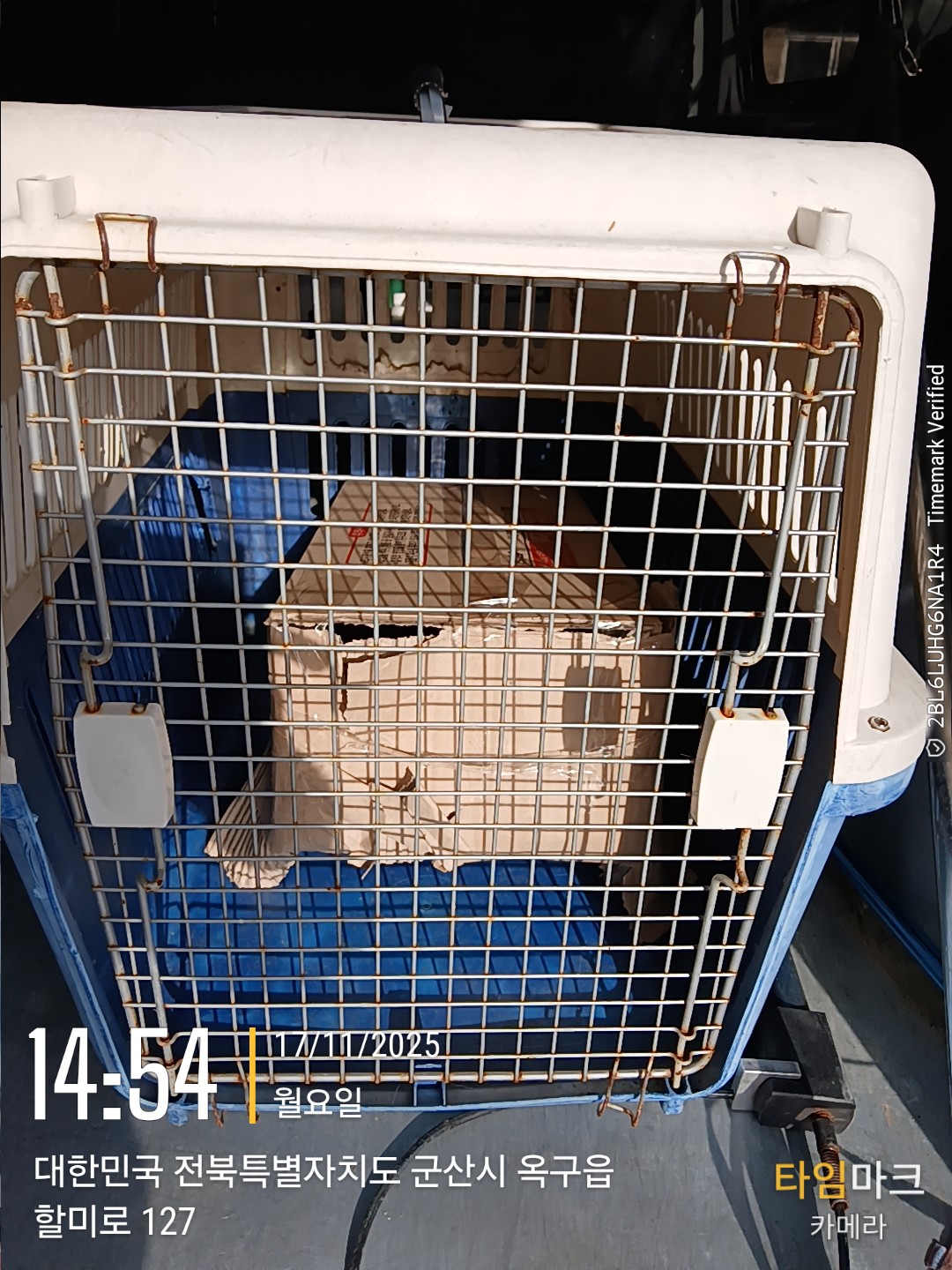 군산유기동물보호센터_445467202502480