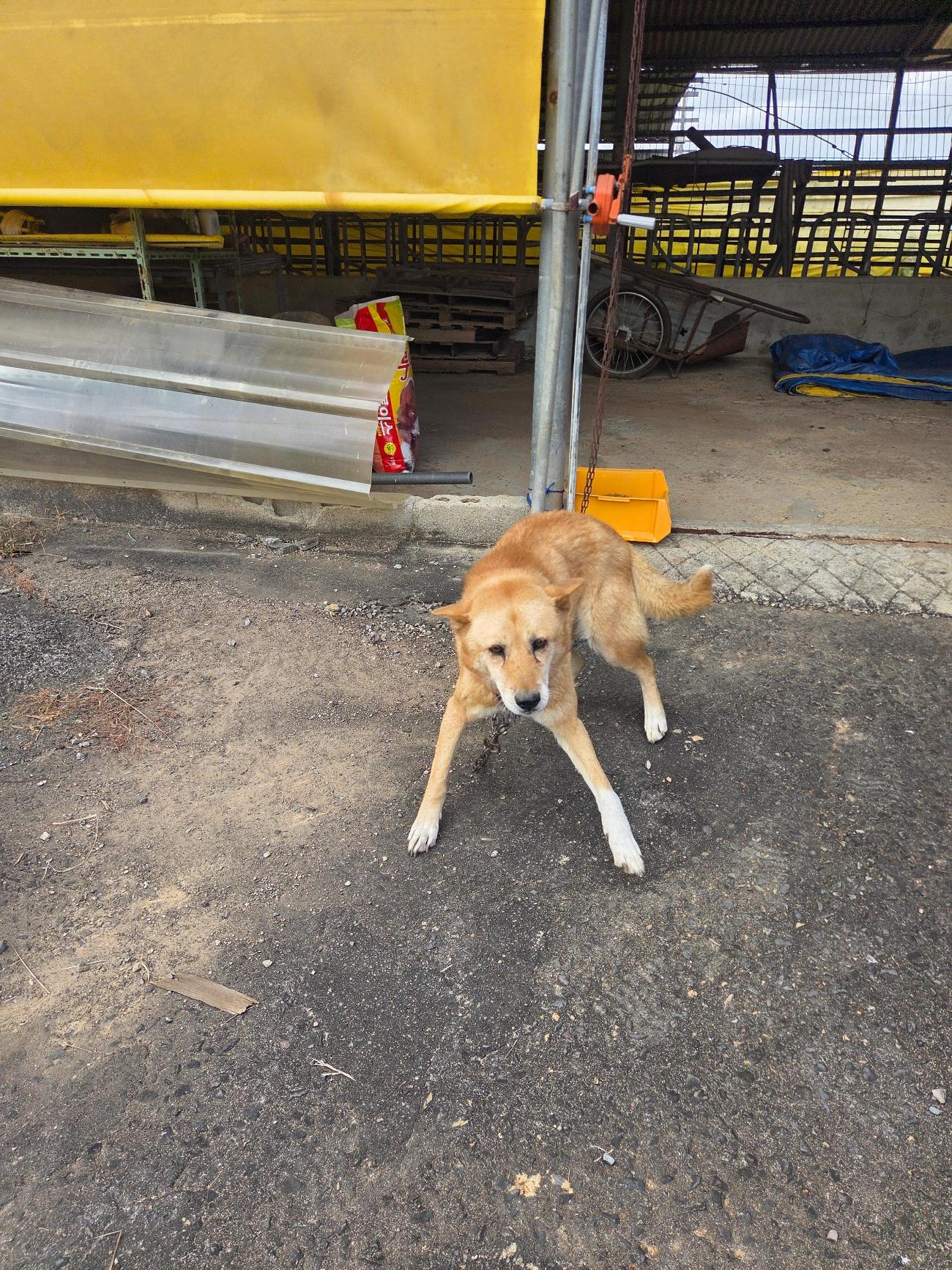 나주유기동물보호센터_446483202501908