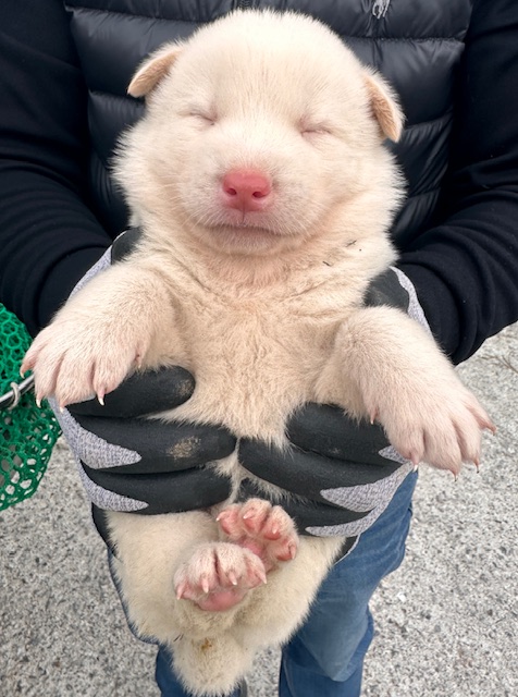 광양시 임시보호소_446484202500817