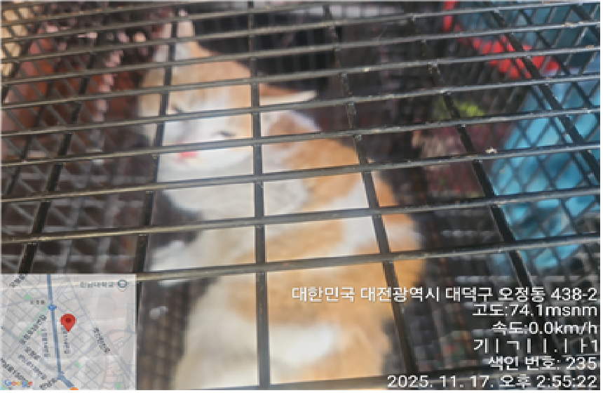 대전동물보호센터_430368202500502