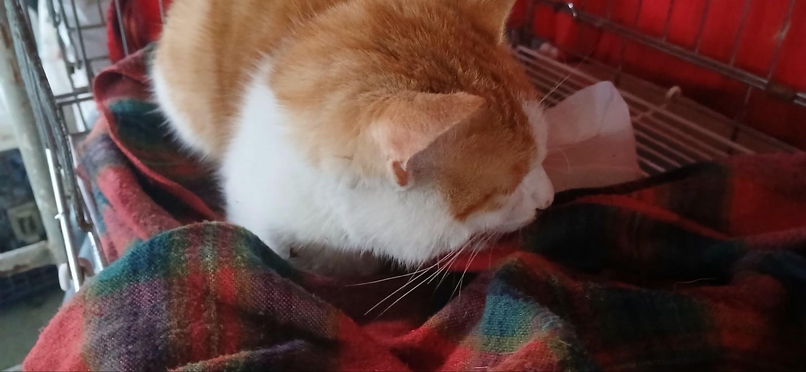 종료(자연사) 한국…