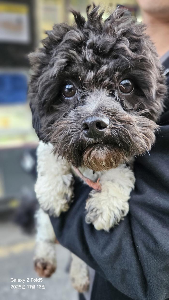 보호중 기타의 가족…