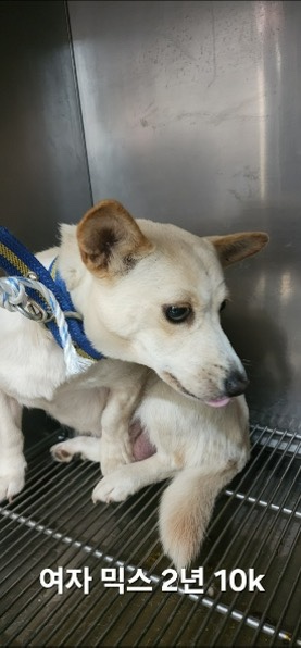 옥천동물병원_443443202500756