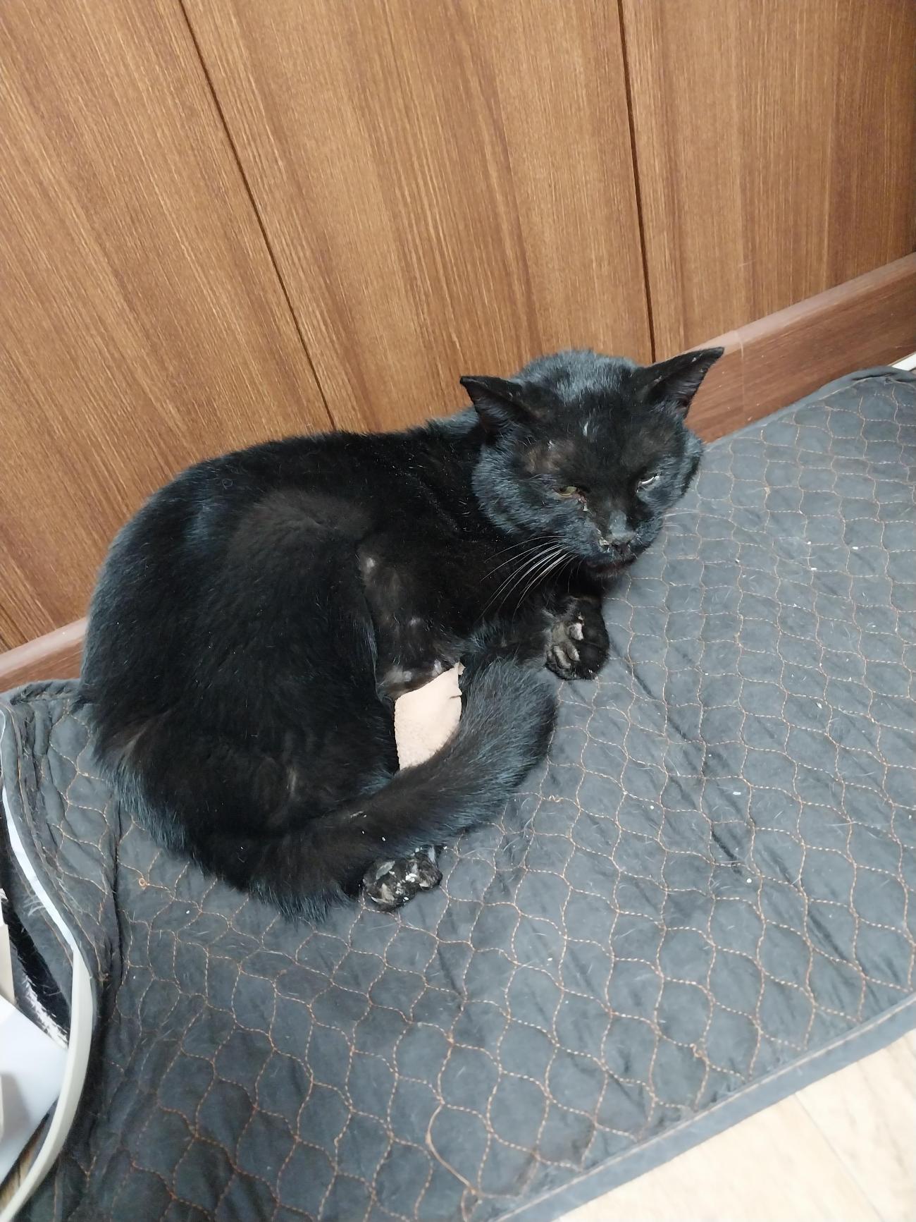 종료(반환) 한국 …