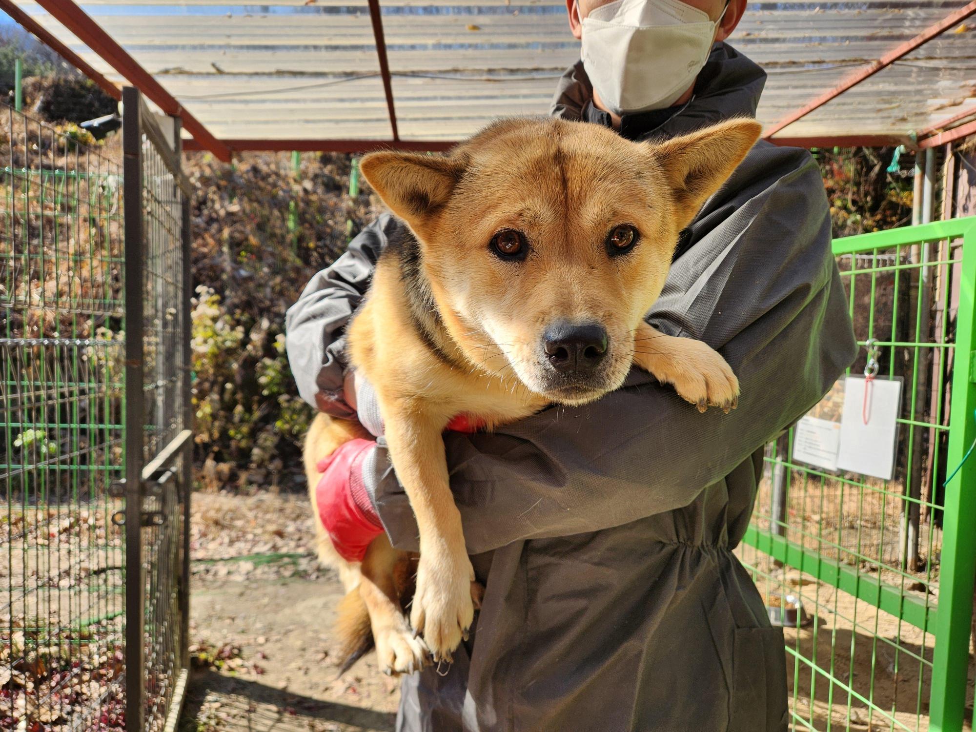 광주TNR동물병원초월_441554202501733