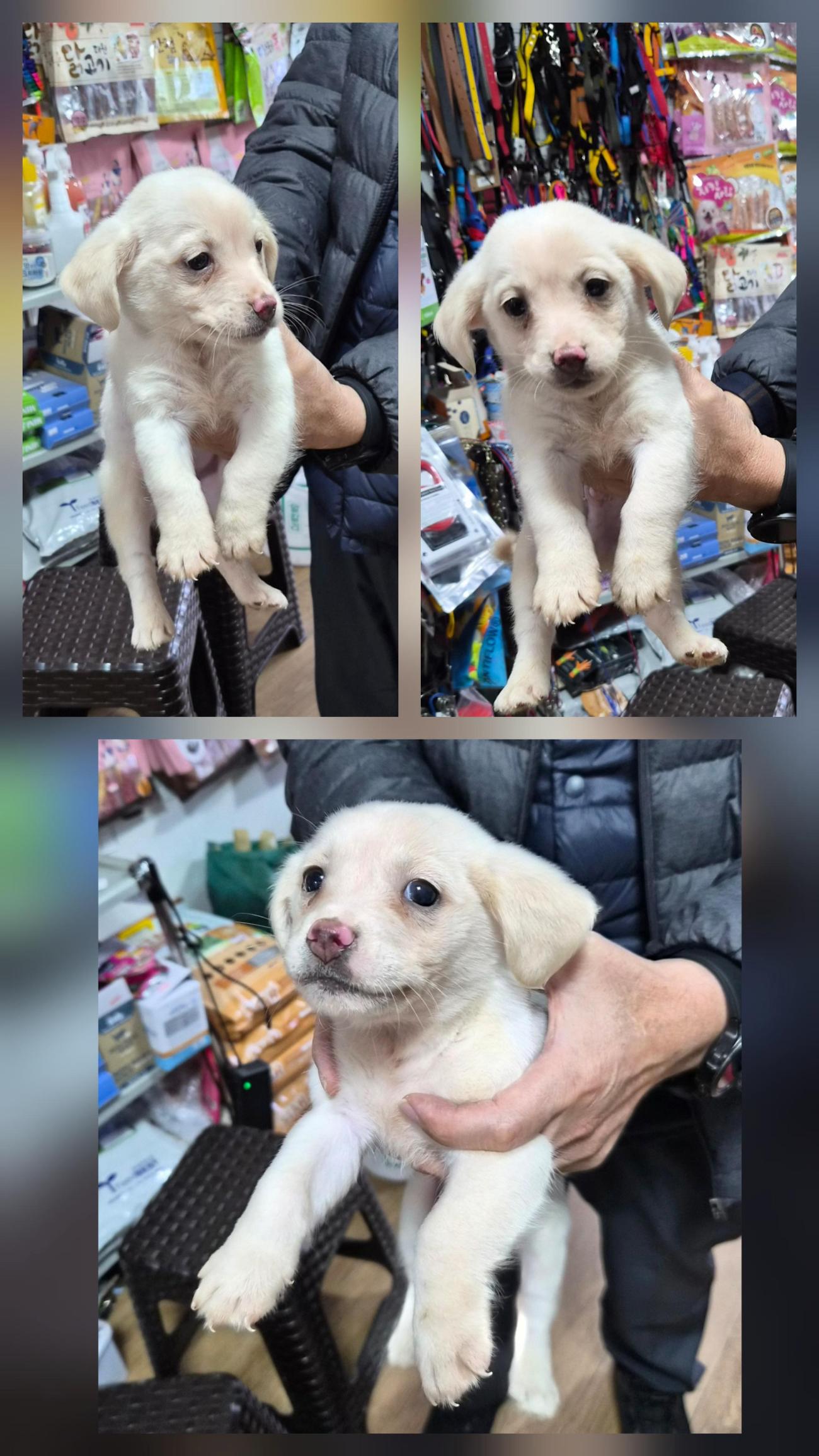 종합축산_447512202500683