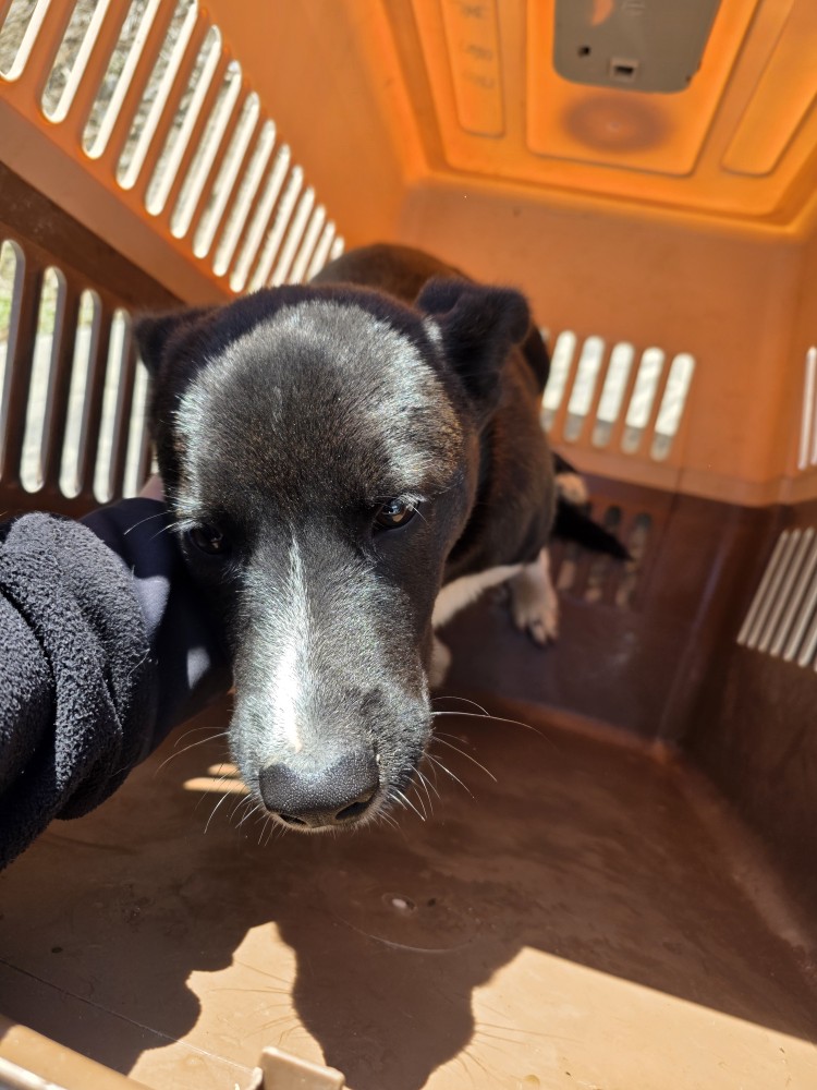 군위종합동물병원_427514202500279