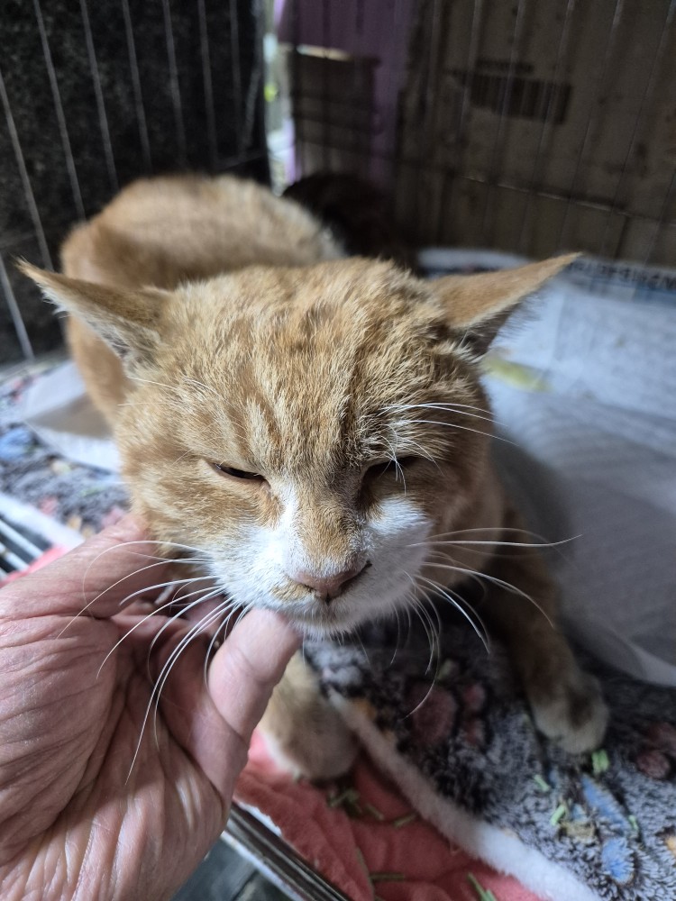 우리동물병원_428356202501635