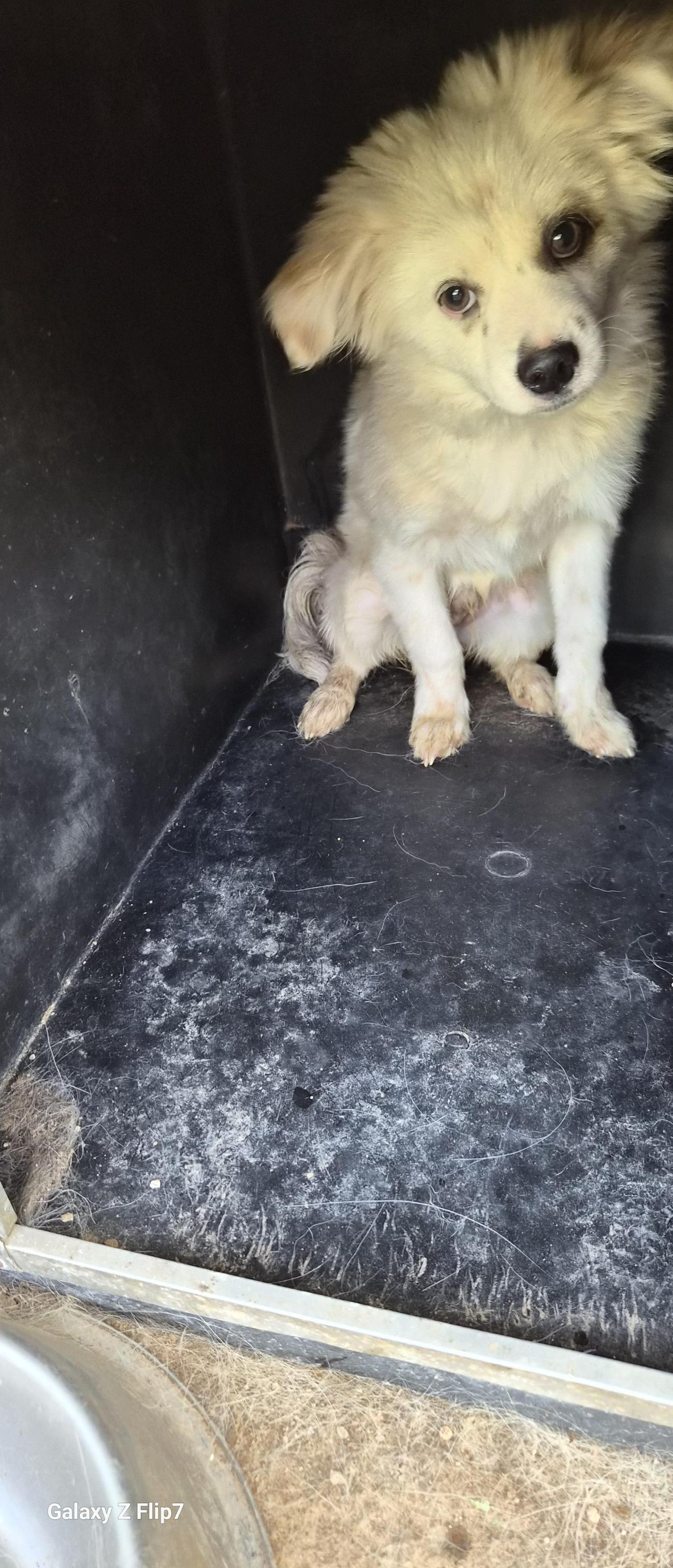 전북말산업복합센터_445471202500531