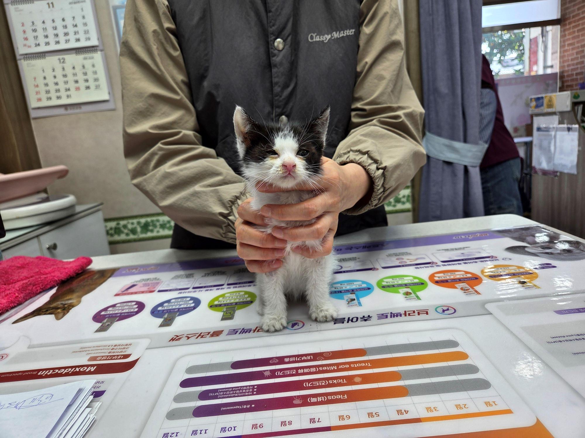 종료(자연사) 한국…