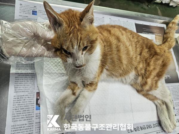 종료(자연사) 한국…