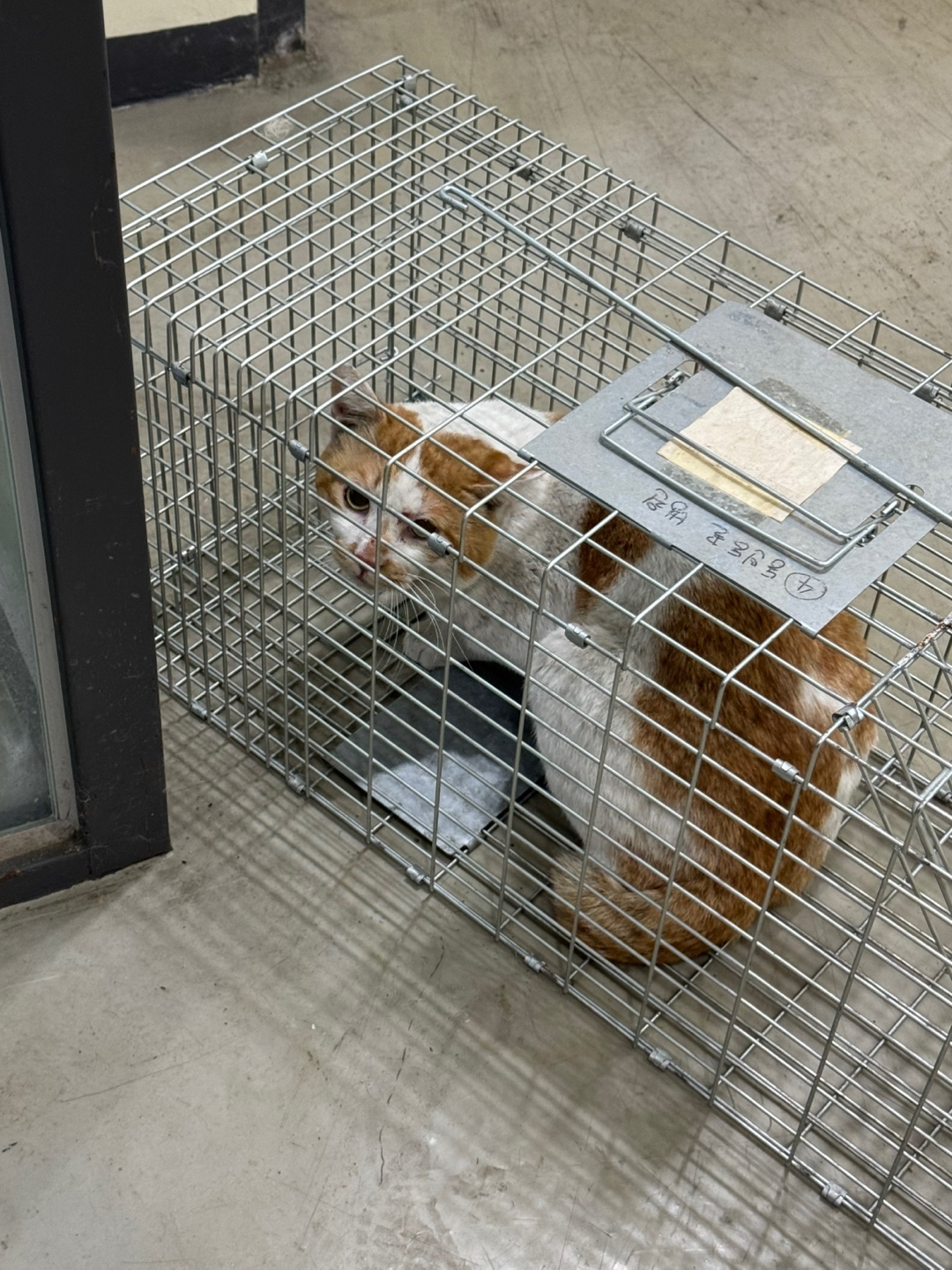 종료(자연사) 한국…