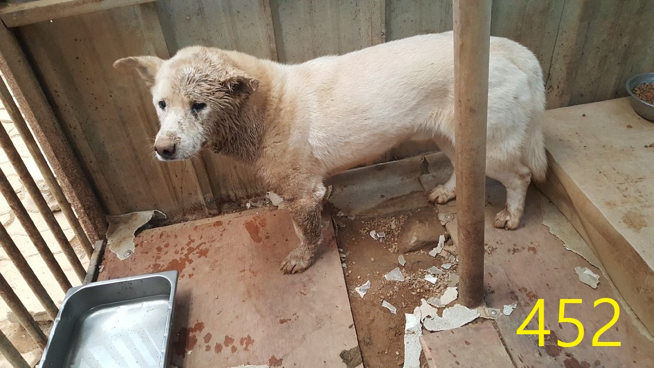 신영재동물병원_428355202500820