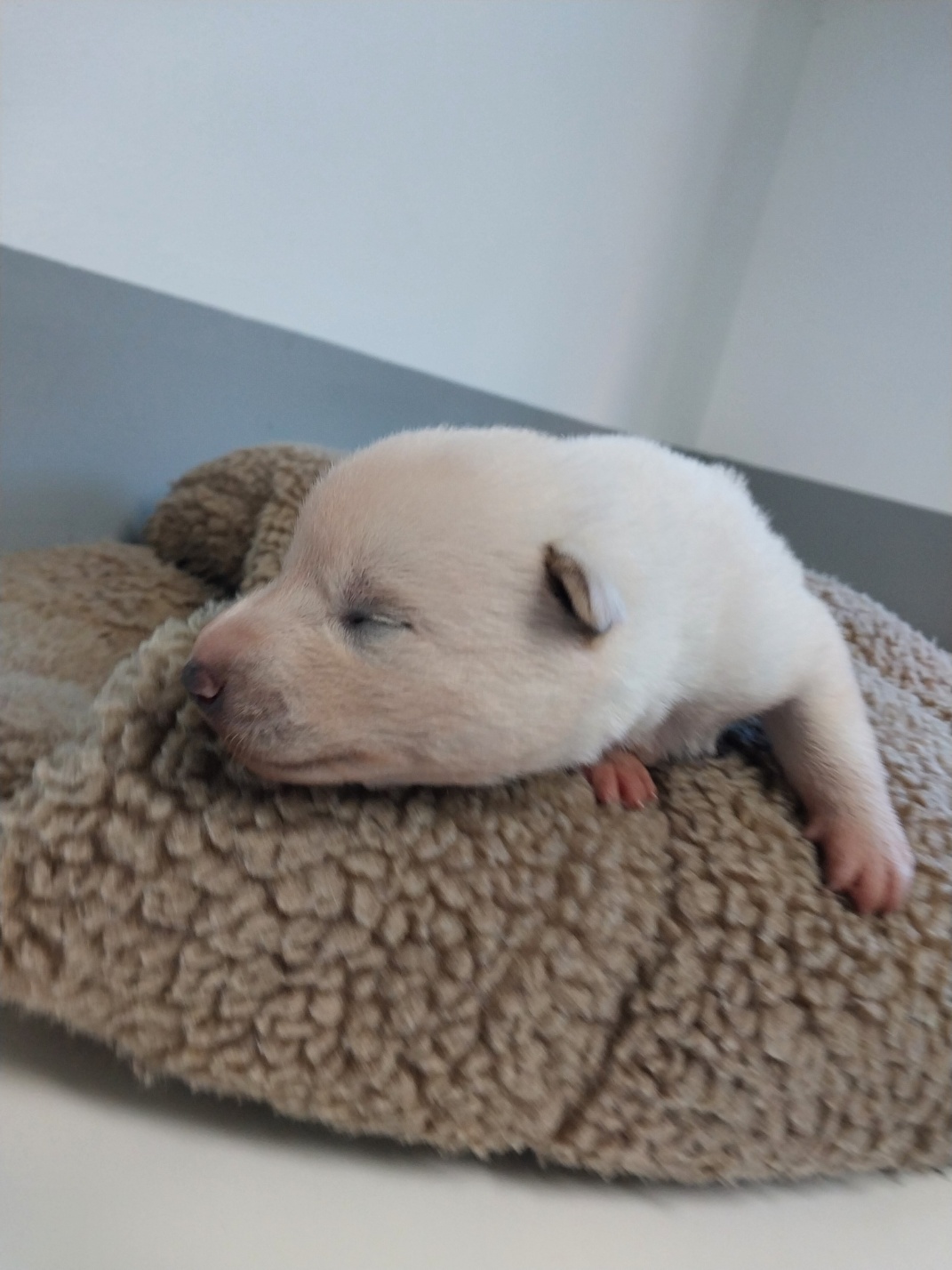 거제시동물보호센터_448537202501432