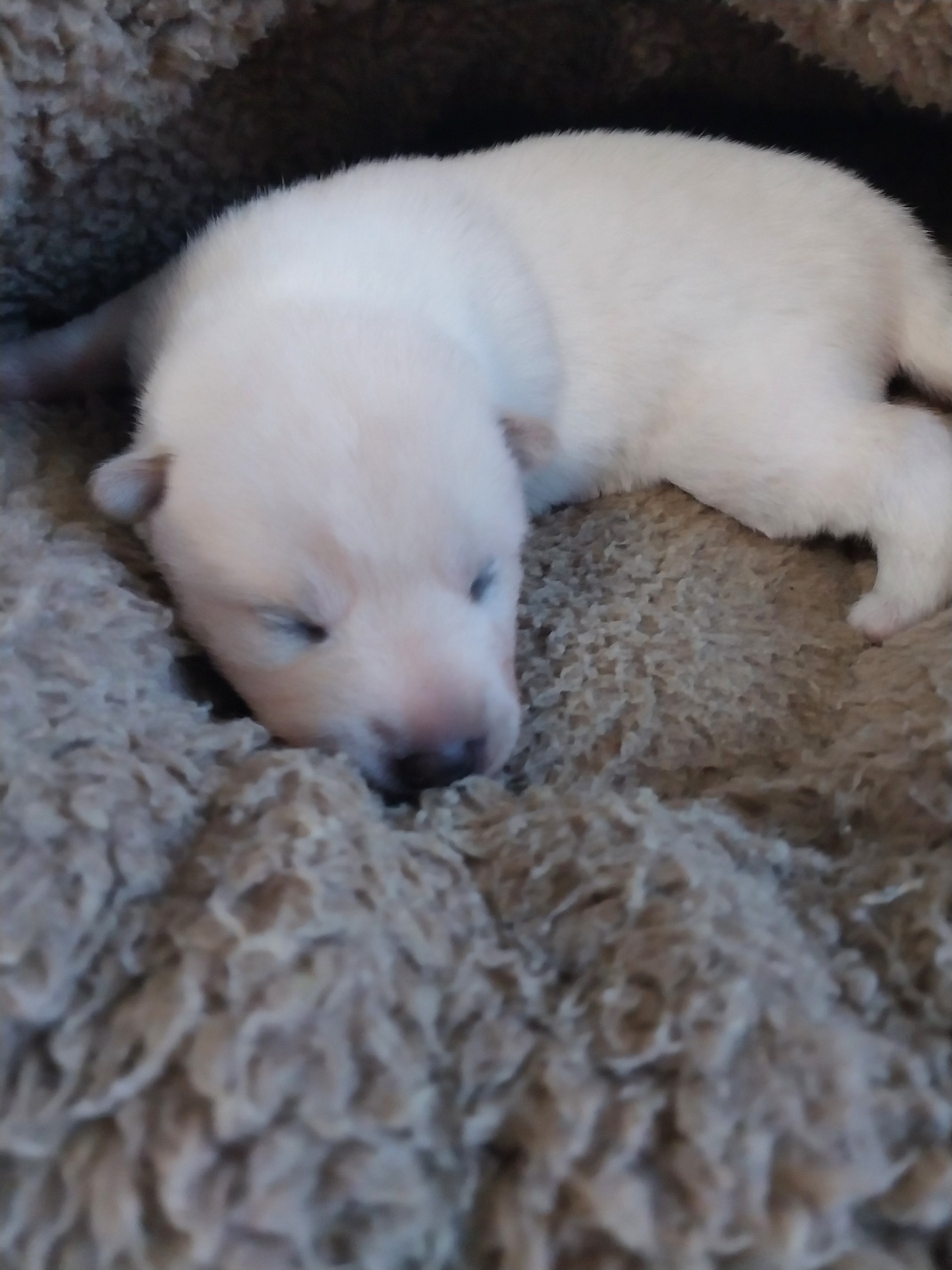 거제시동물보호센터_448537202501435