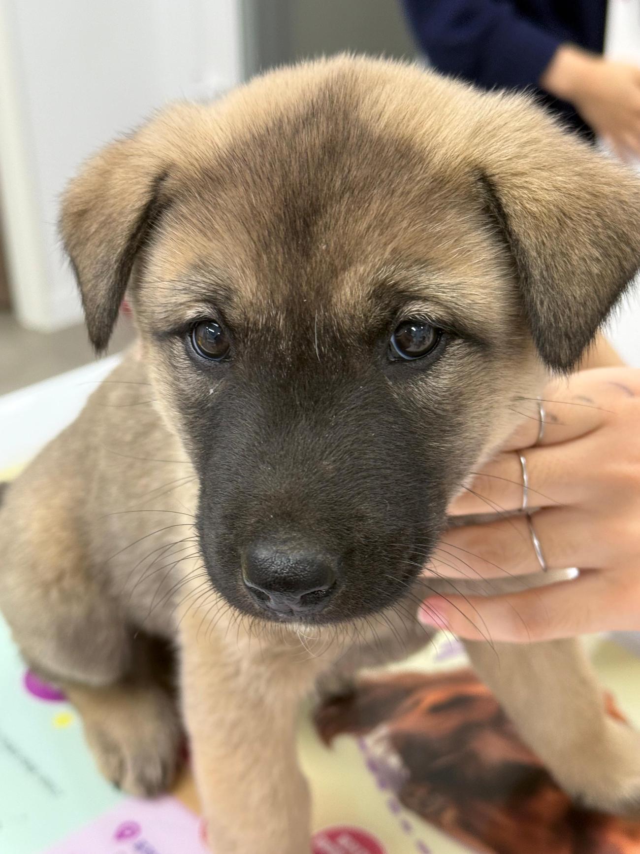 광주첨단YB동물병원_429362202500901