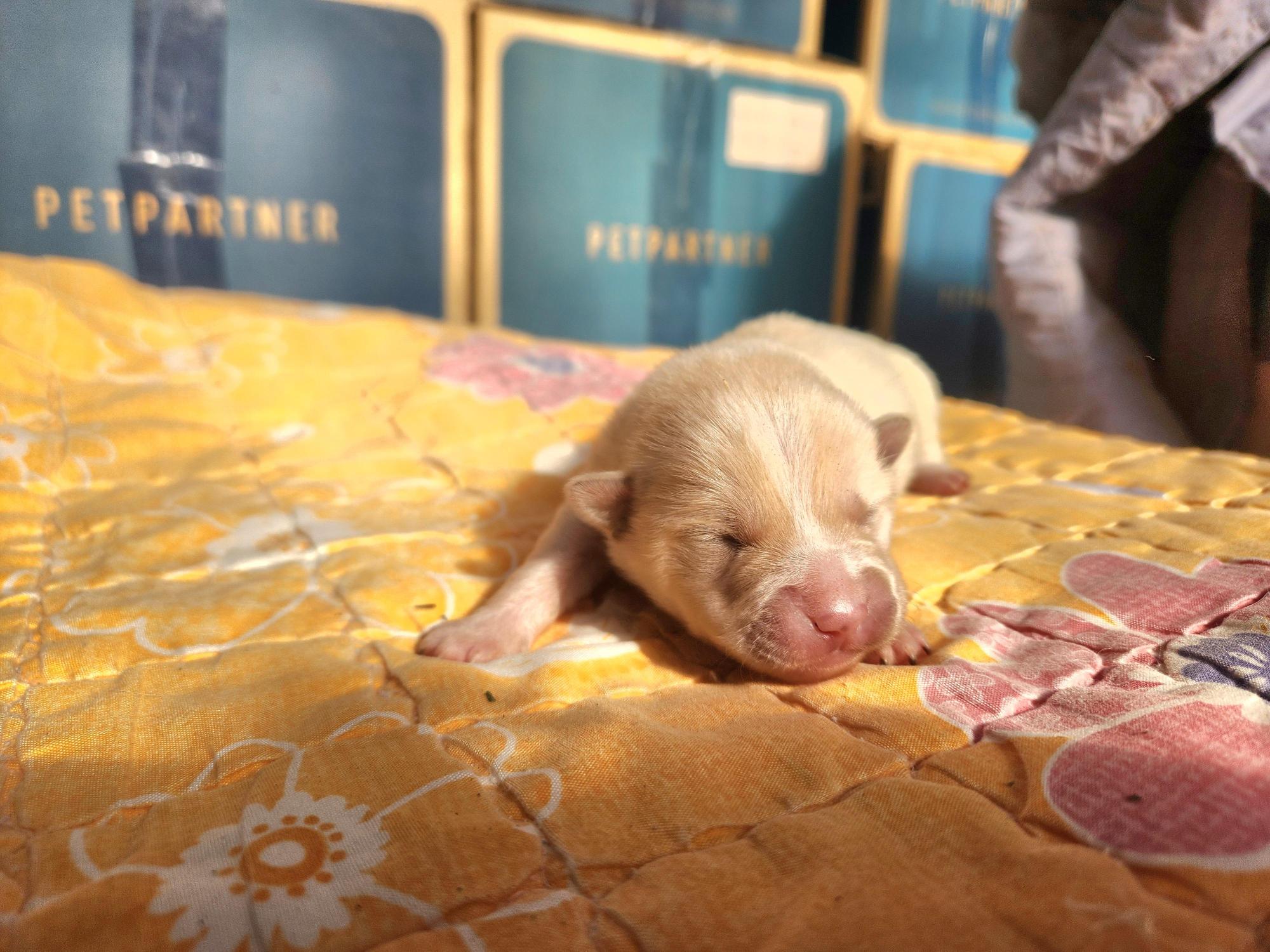 광주TNR동물병원초월_441554202501738