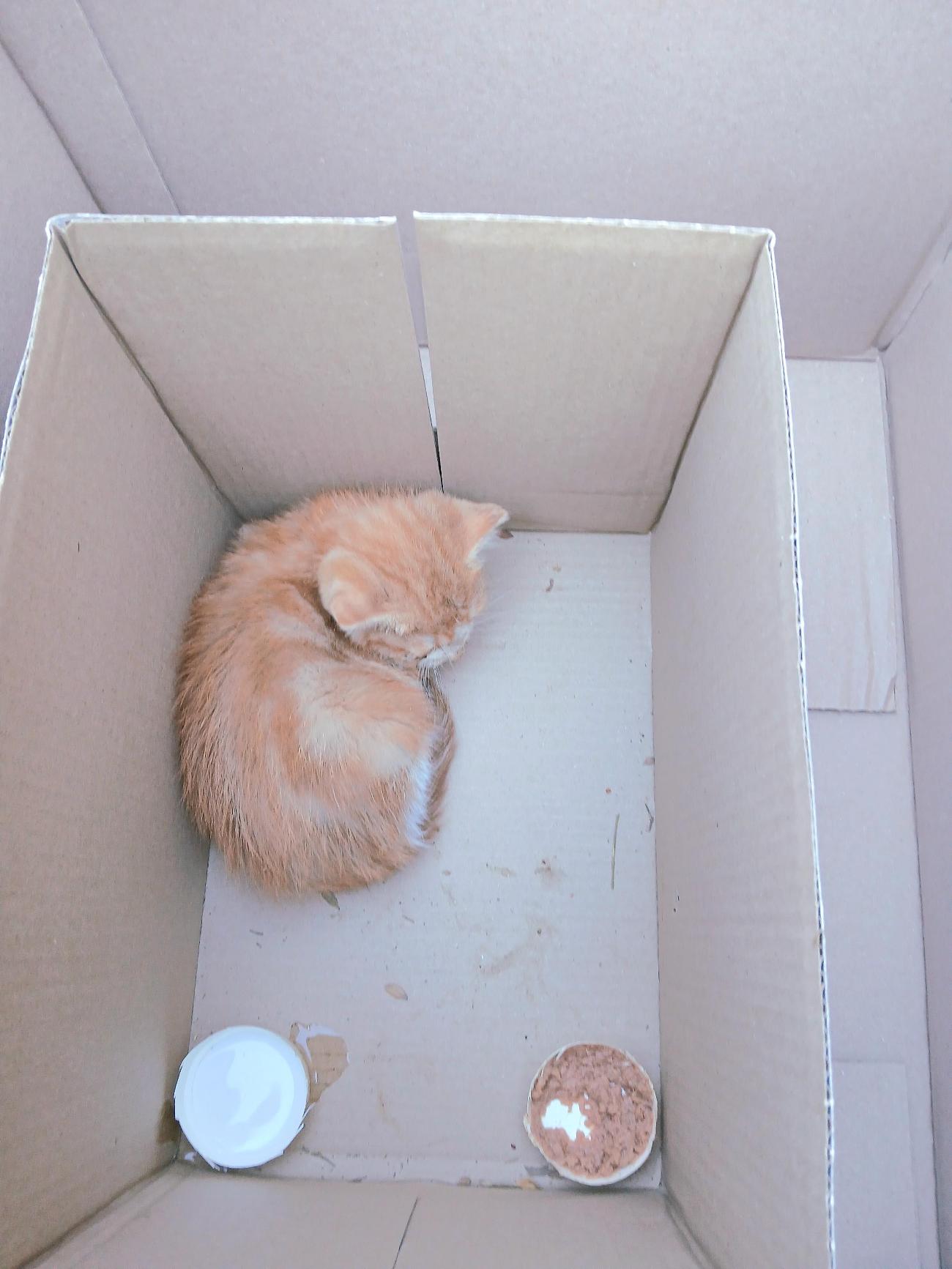 금왕동물병원_443447202501235