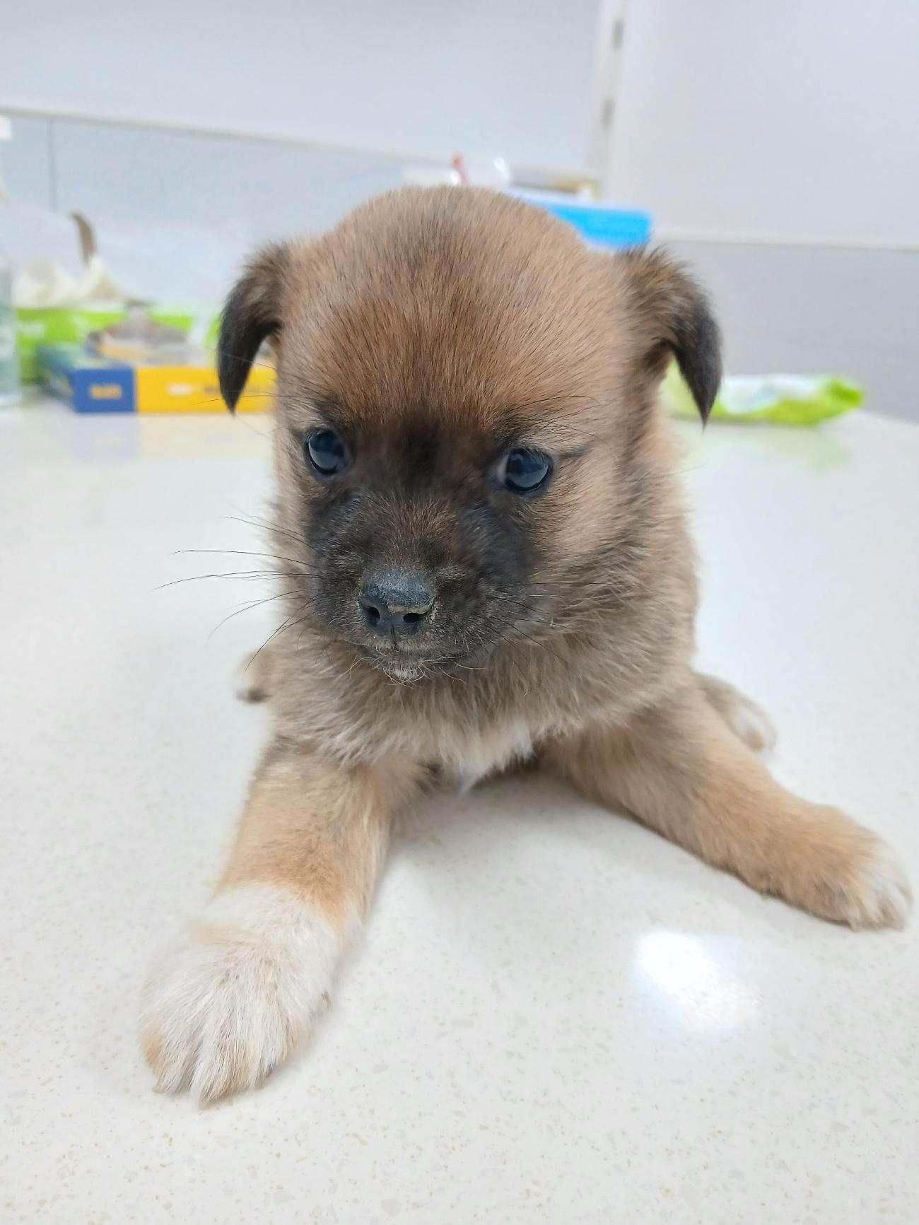 남해군동물보호센터_448543202500198