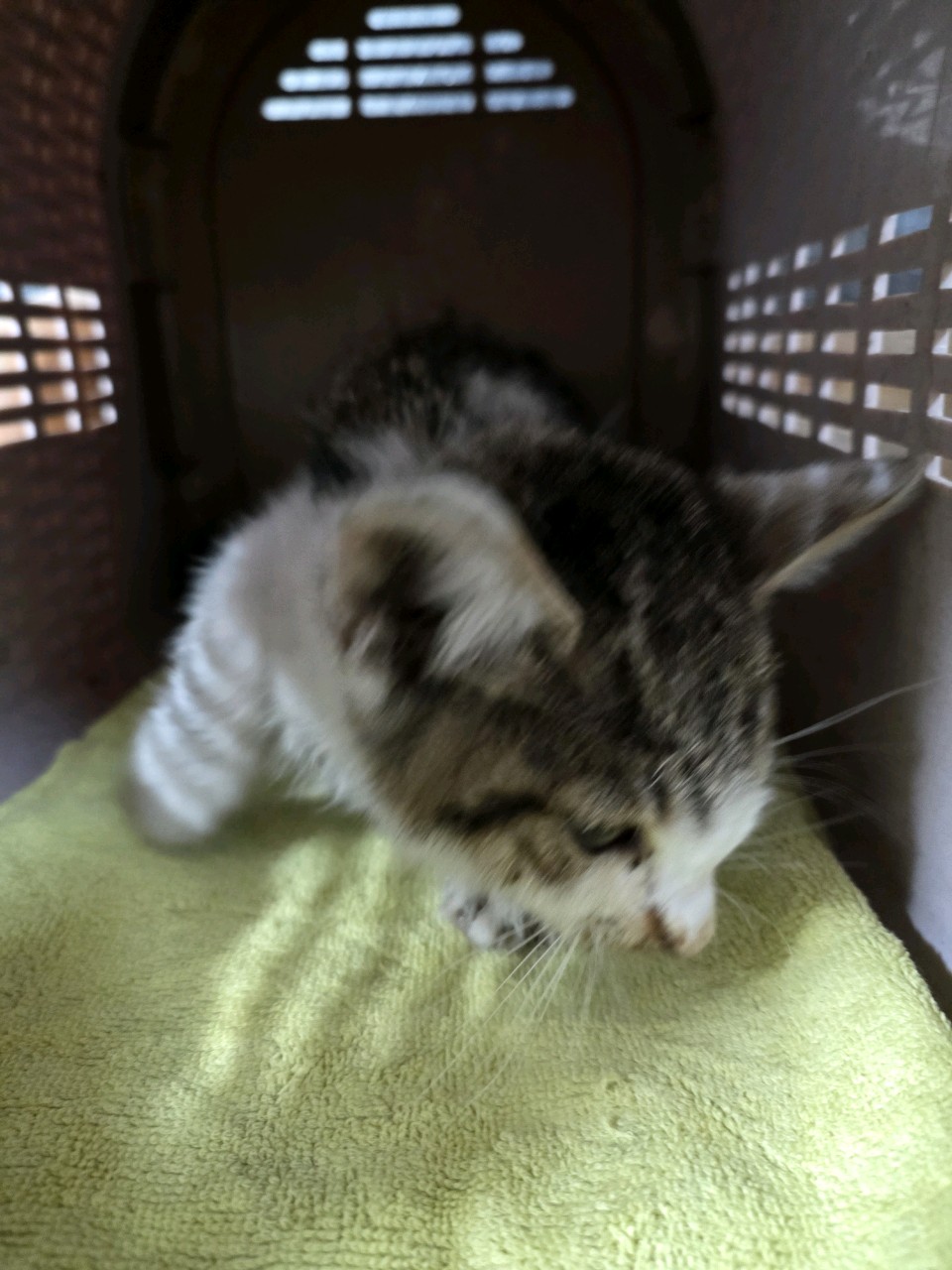 종료(자연사) 한국…