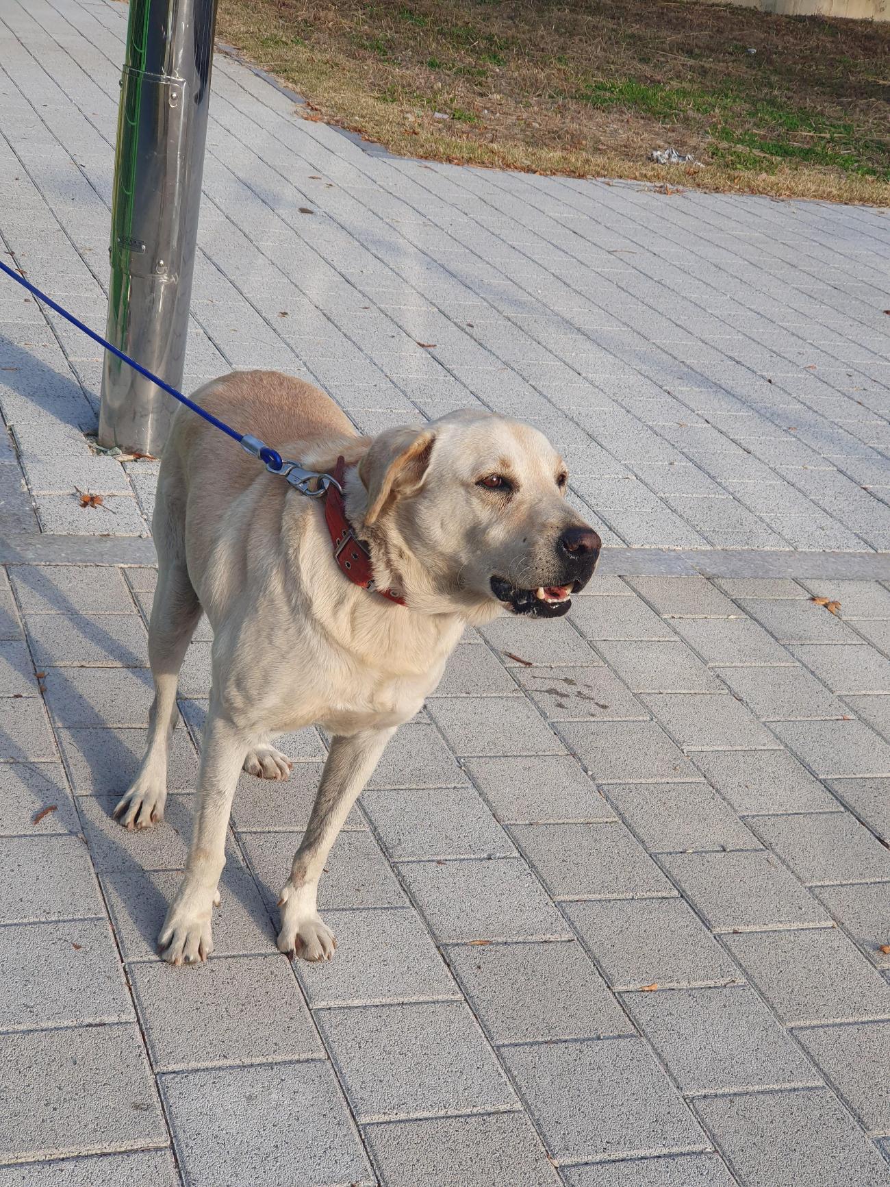 종료(반환) 라브라…