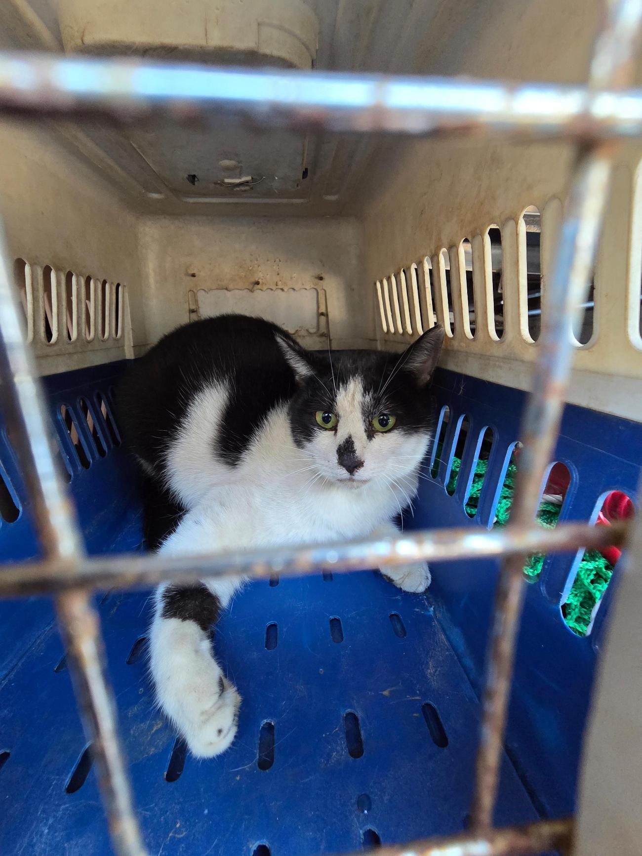 괴산증평동물보호센터_443446202500480