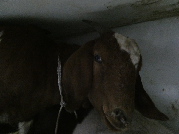 종료(반환) 기타축…