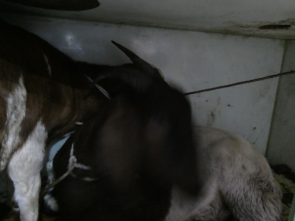 종료(반환) 기타축…