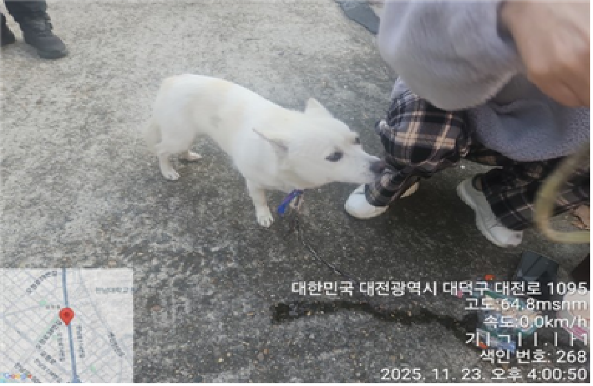 대전동물보호센터_430368202500512