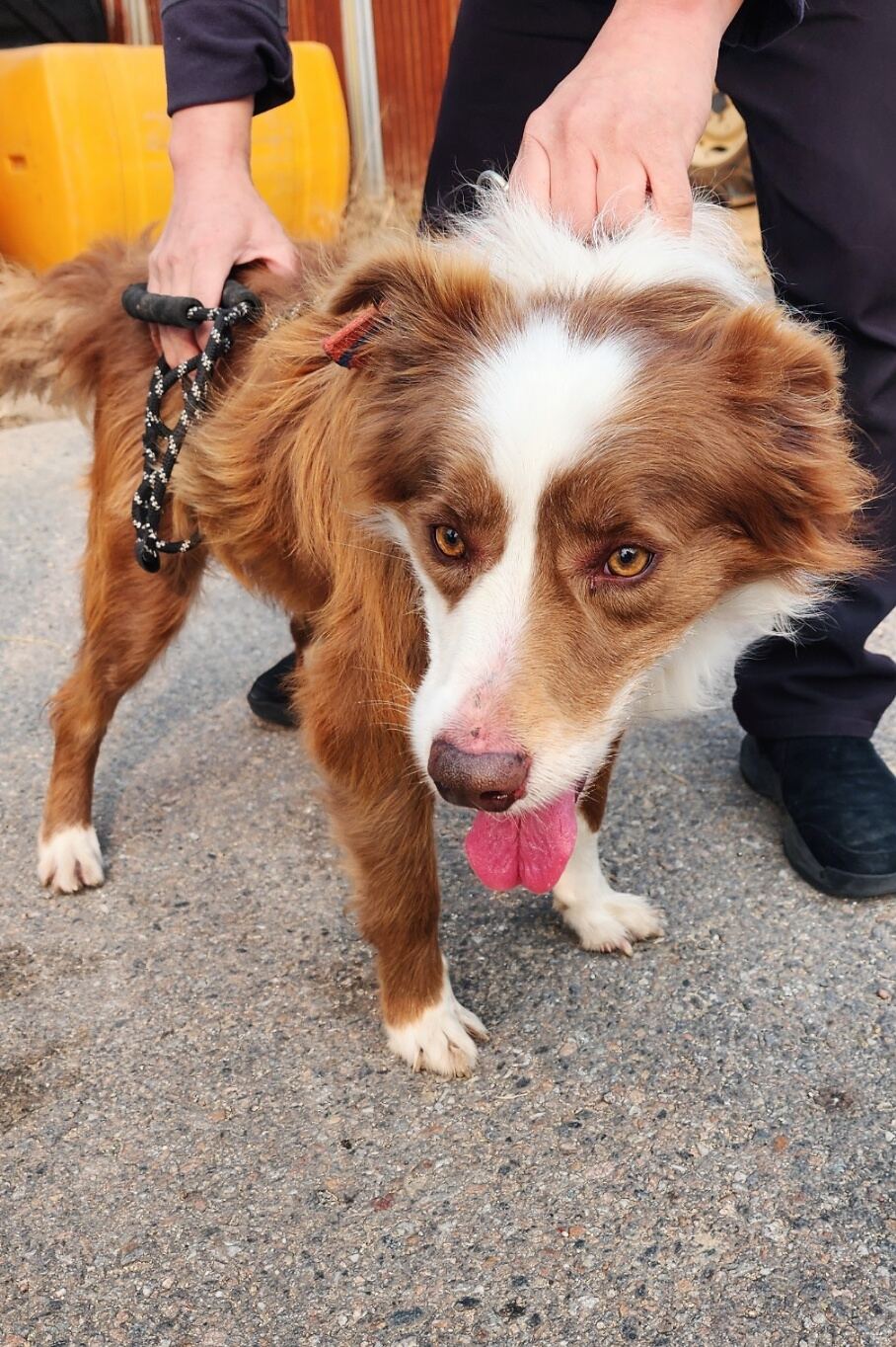 종료(반환) 보더 …