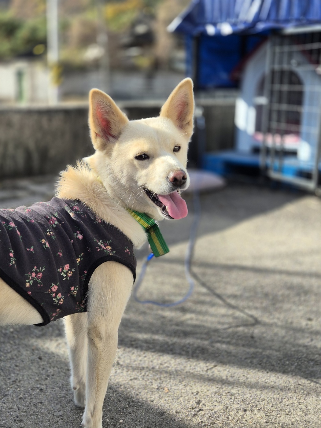 보호중 기타의 가족…