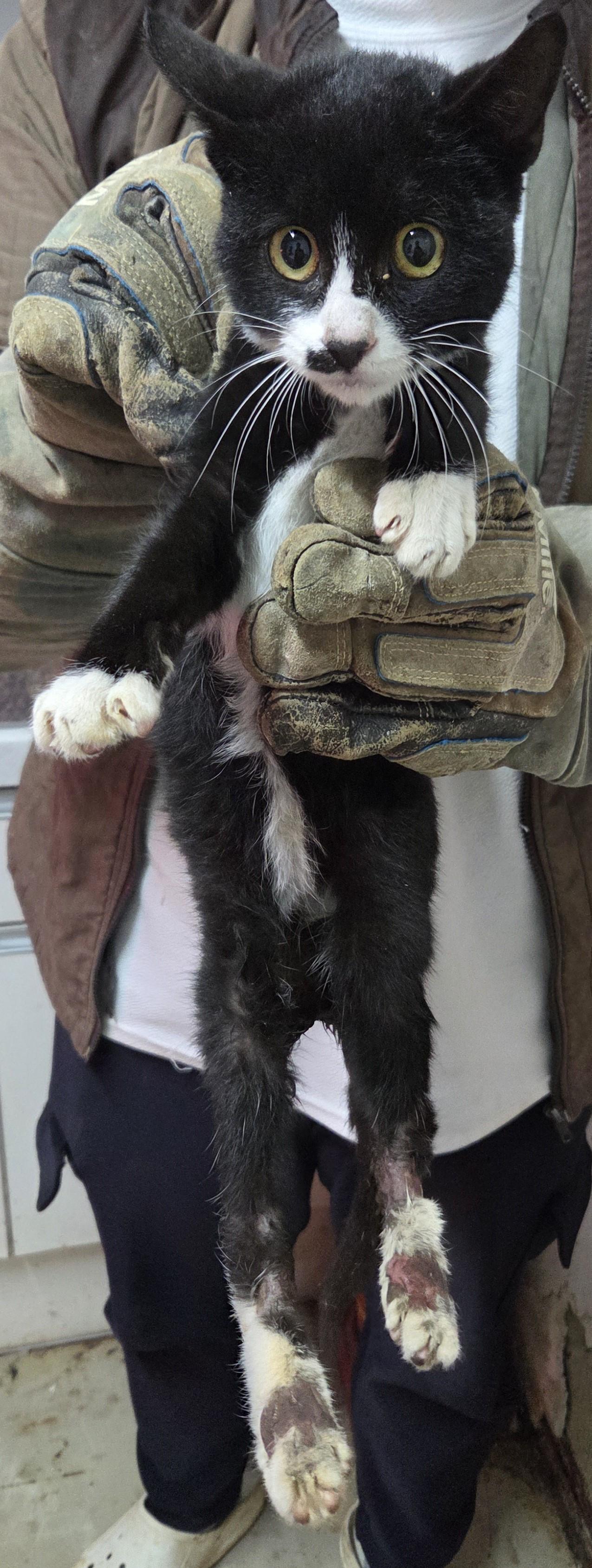 종료(자연사) 한국…