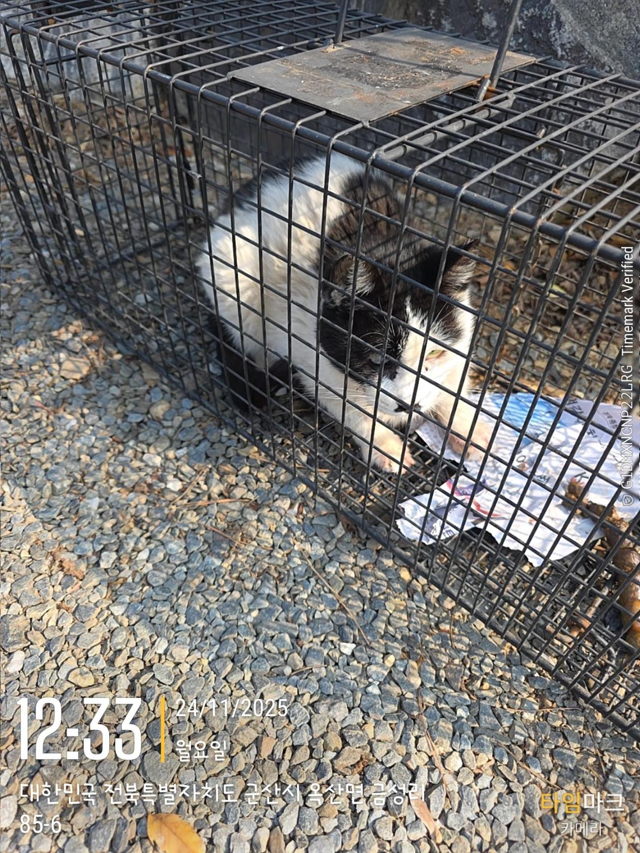 군산유기동물보호센터_445467202502523