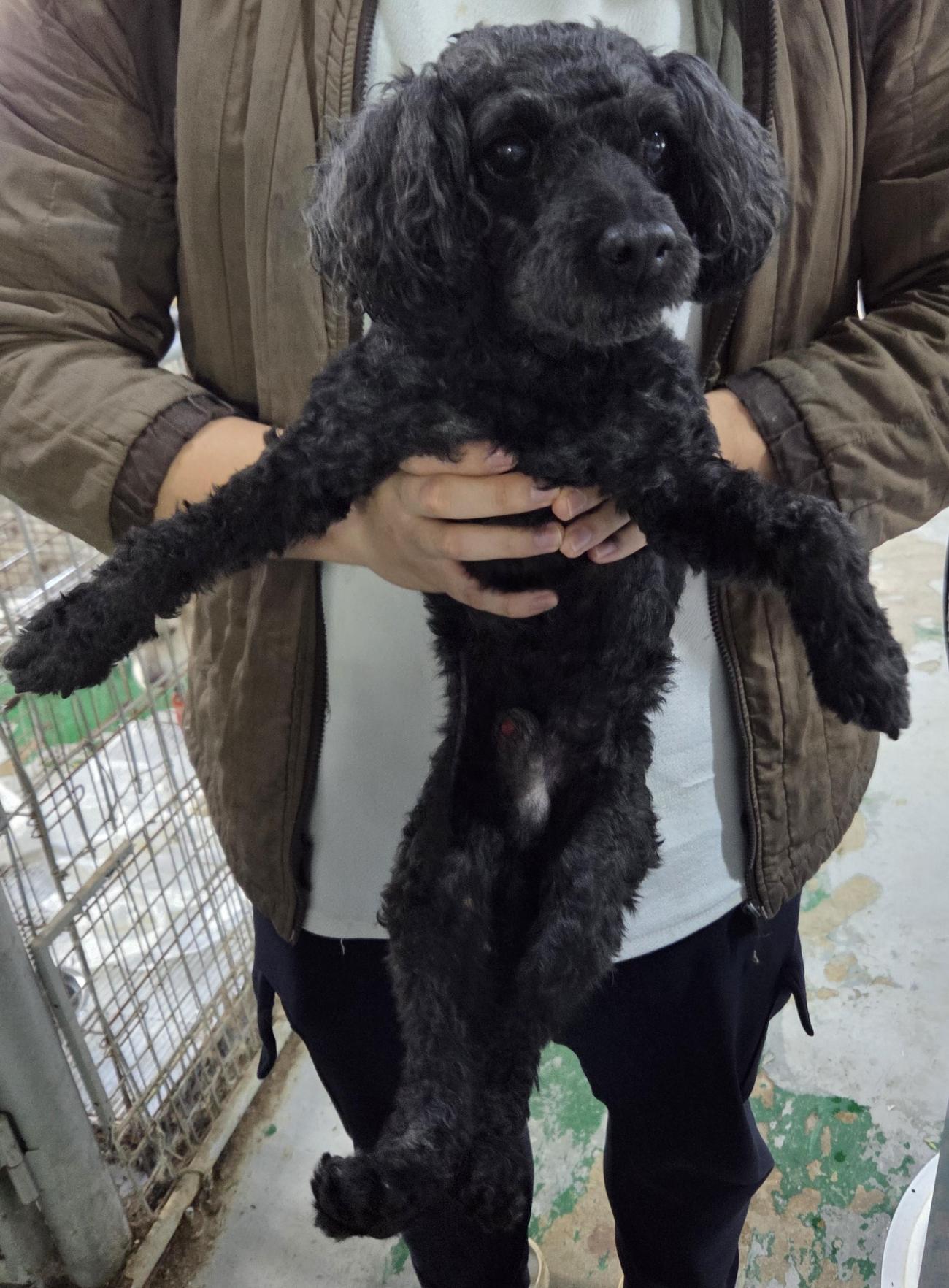 인천광역시수의사회_428353202501124