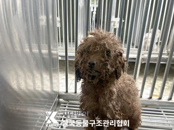 한국동물구조관리협회_411304202500672