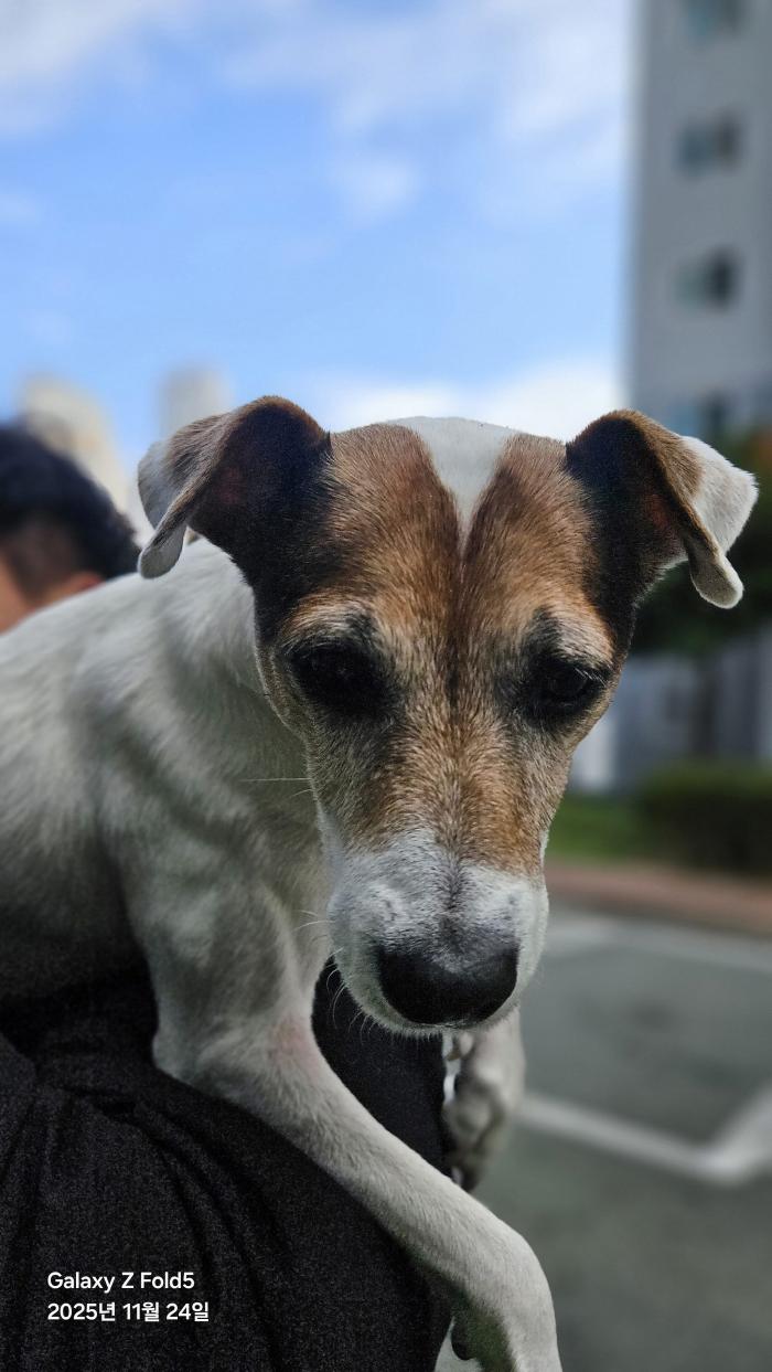 동물보호관리협회_426329202500857