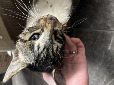 사단법인 동부_426340202500696