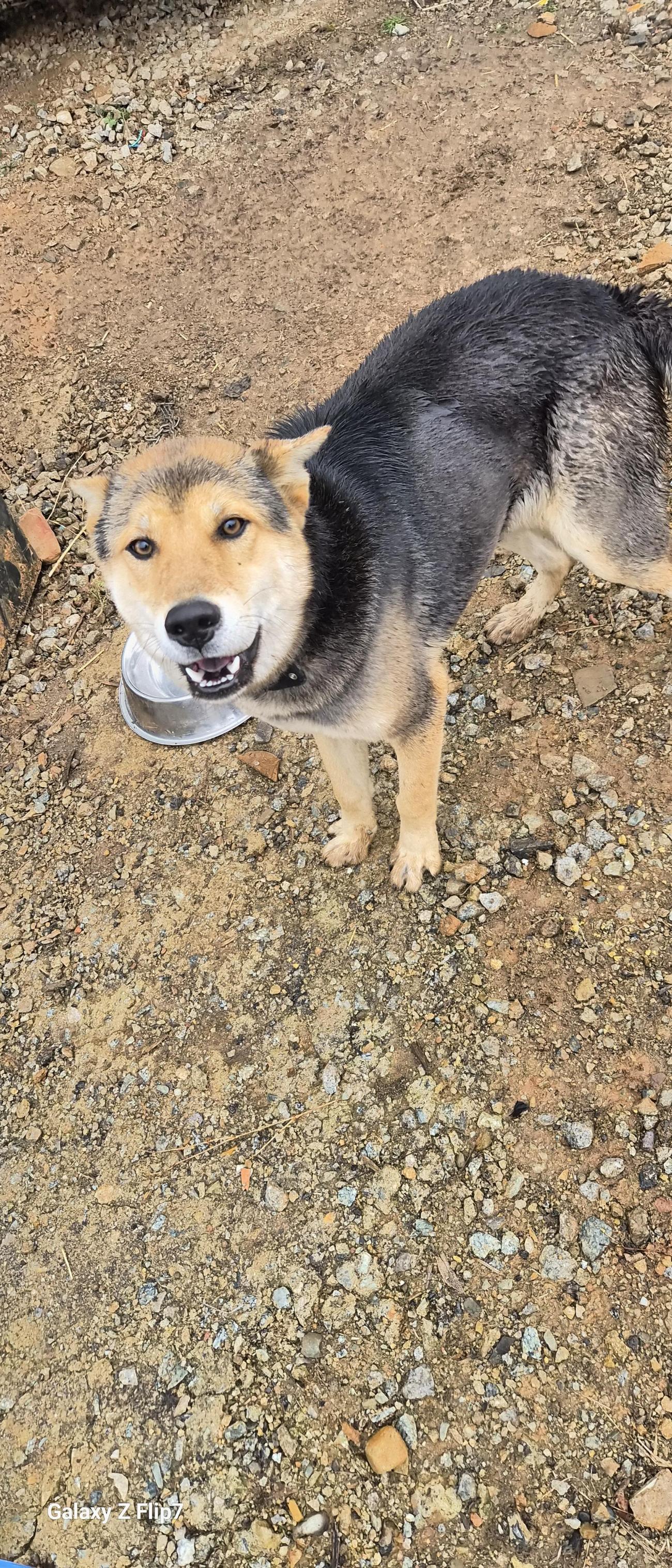 전북말산업복합센터_445471202500544