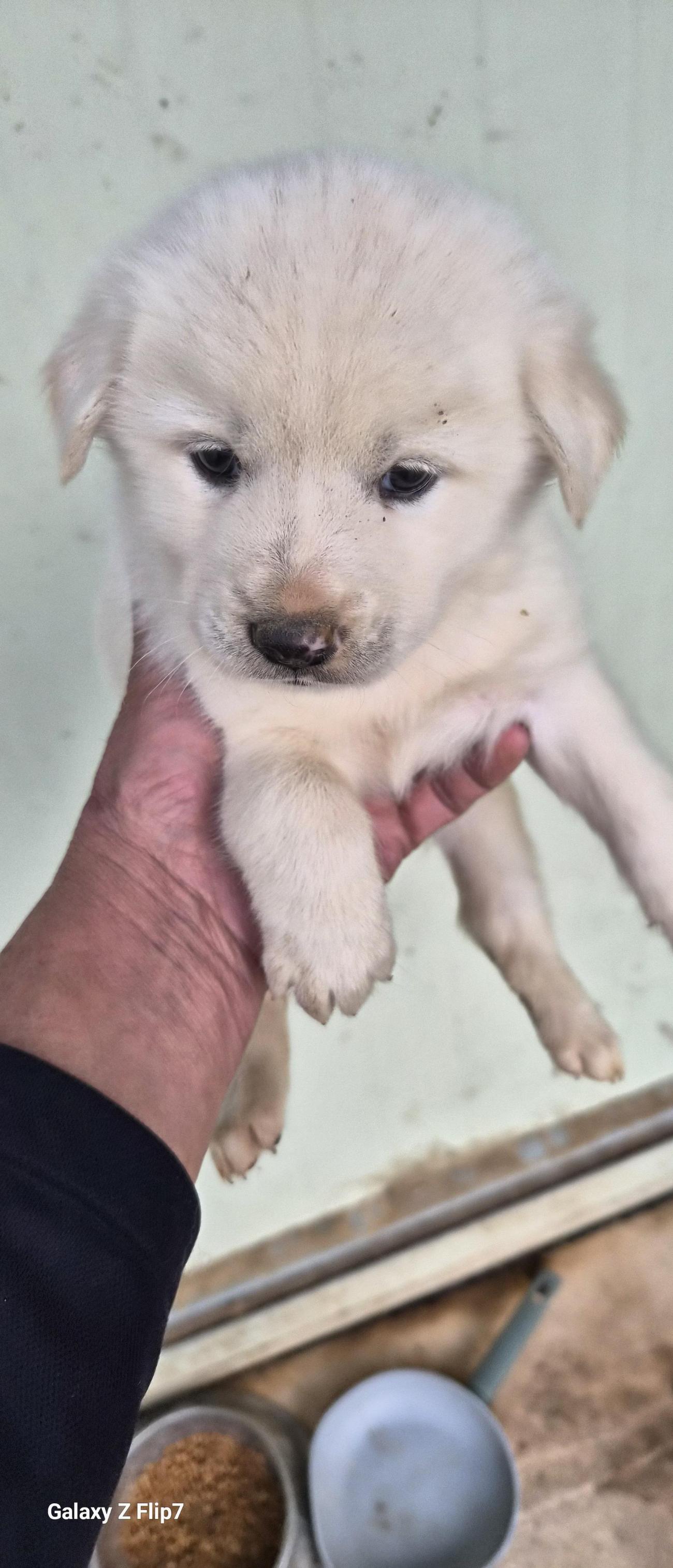 전북말산업복합센터_445471202500543