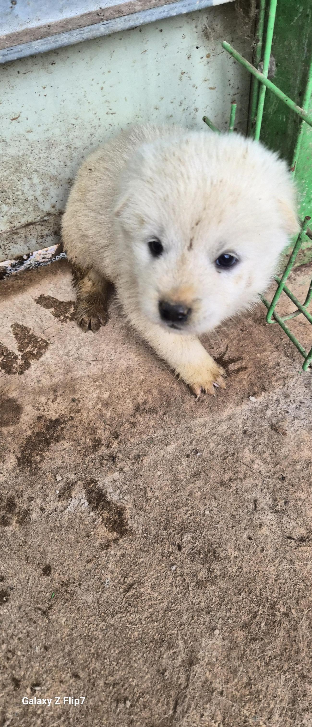 전북말산업복합센터_445471202500542