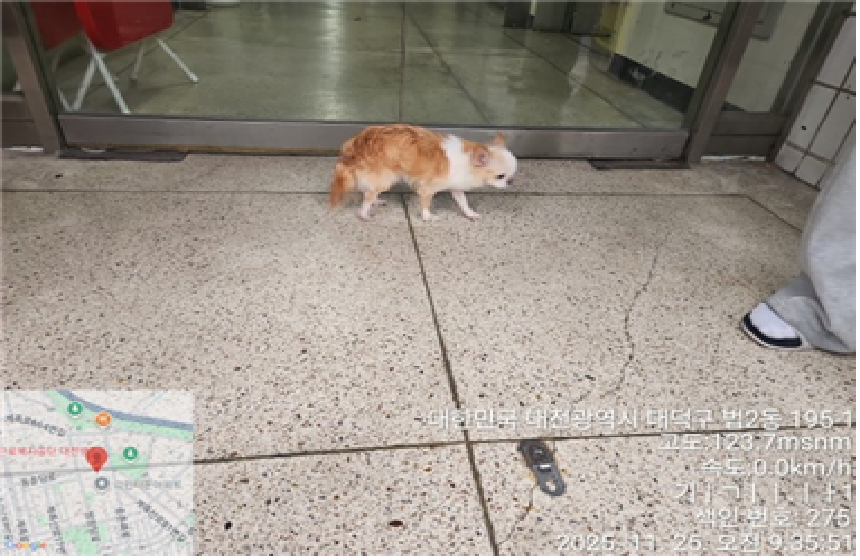 대전동물보호센터_430368202500518